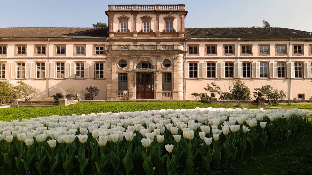 Hauptfassade von Schloss Neuenburg, Guebwiller